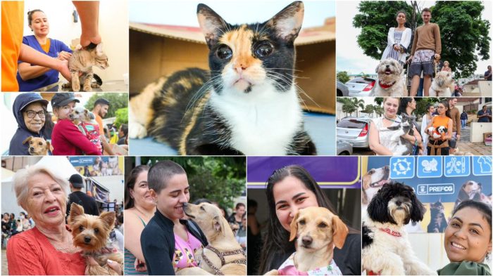 A evolução do Bem-Estar Animal em Campo Grande e perspectivas para 2024