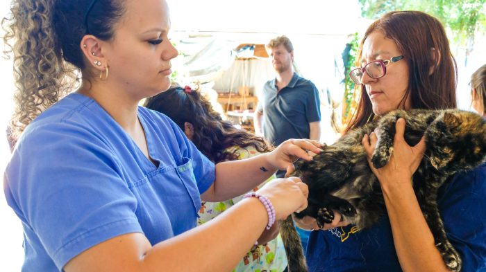 Ação itinerante da Subea leva atendimento médico-veterinário ao Jardim Noroeste nesta quarta-feira (29)