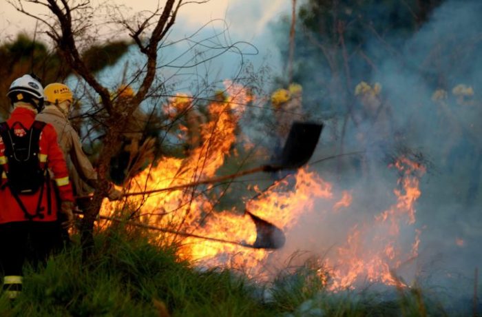 Alunos-do-corpo-de-Bombeiros-passam-por-treinamento-de-combate
