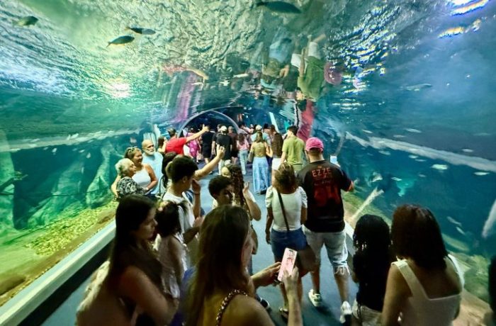 Bioparque Pantanal bate recorde de visitantes e consolida Campo Grande como novo destino turístico nacional