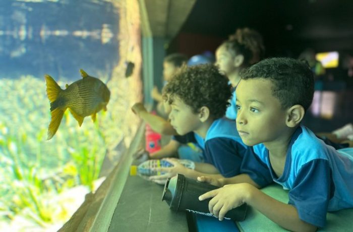 Bioparque Pantanal faz parte de tema de defesa de mestrado em ensino e ciências