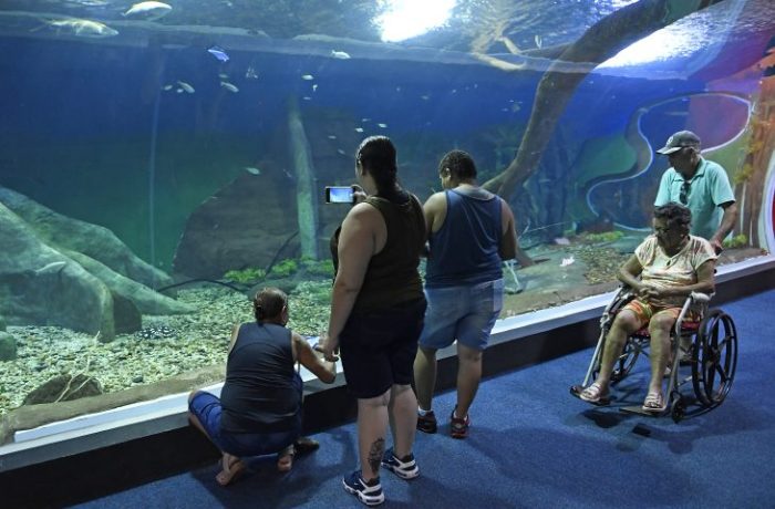 Bioparque Pantanal recebe selo internacional ‘ouro’ por sustentabilidade e se destaca entre atrativos turísticos mundiais
