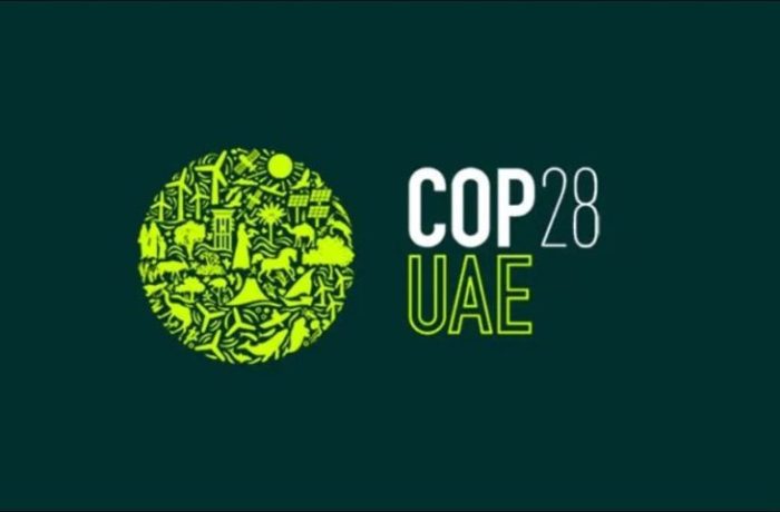 COP 28