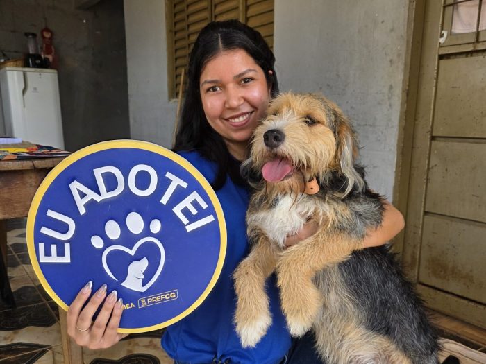 Cães e gatos resgatados buscam nova família no domingo