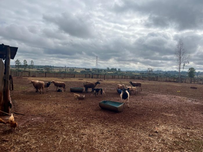 Campo Grande avança na estruturação do PDOA e fortalece a agricultura familiar