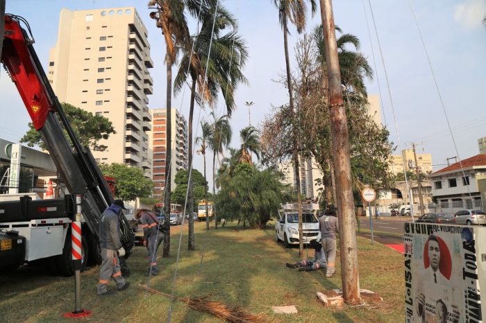 Campo Grande deve ganhar nova iluminação natalina nas principais avenidas
