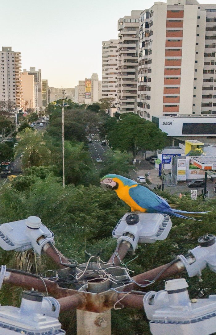 Campo Grande recebe fórum sobre turismo e conservação ambiental