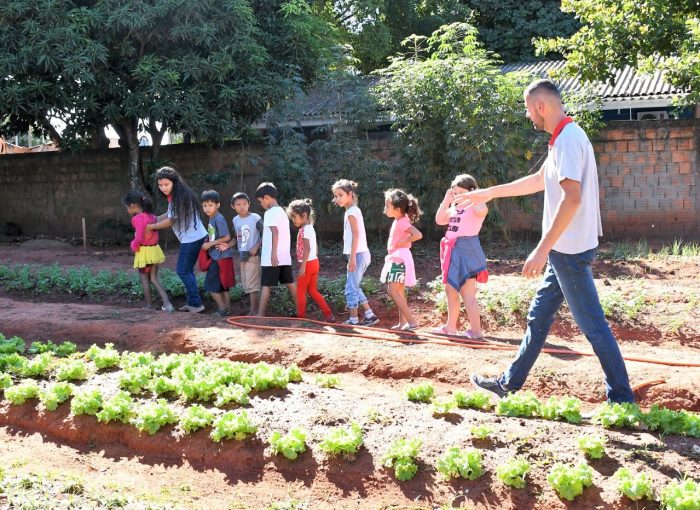 Campo Grande une educação e agricultura para fortalecer a alimentação escolar