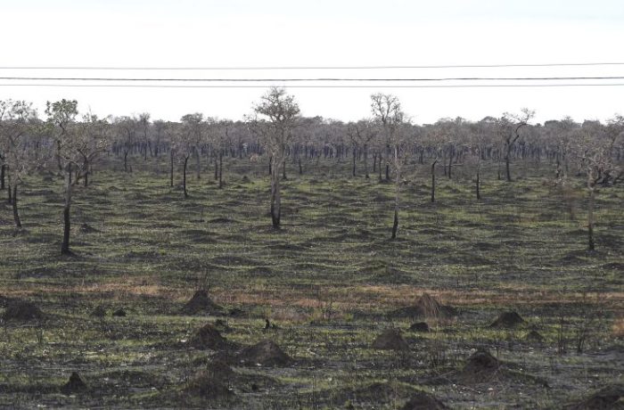Com mais chuvas e baixas temperaturas, 1º semestre deste ano teve redução de 92,8% da área queimada no Pantanal