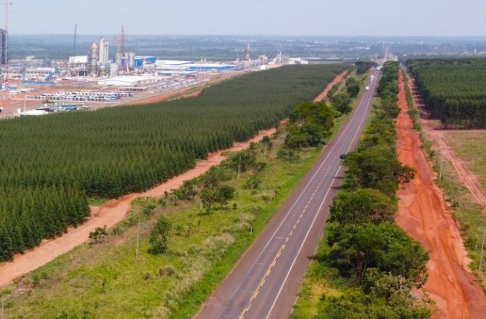 Com projeto robusto, Rota da Celulose tem expectativa de voltar ao mercado no primeiro trimestre de 2025
