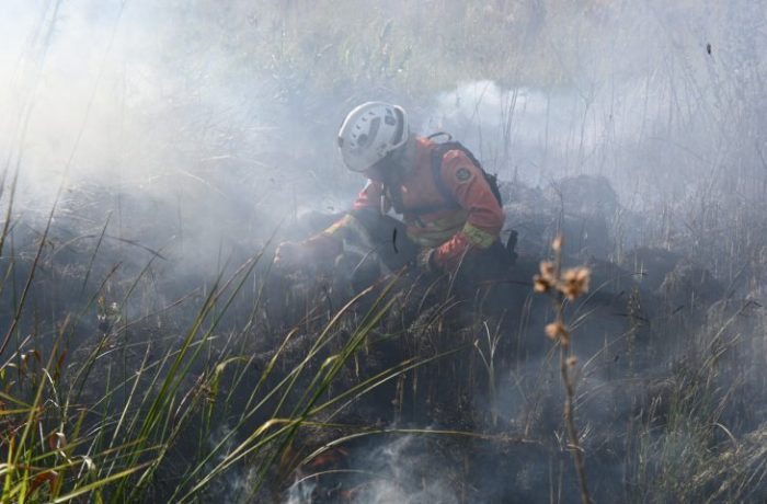 Decreto de emergência ambiental reforça preparação do Governo de MS para enfrentamento a incêndios florestais