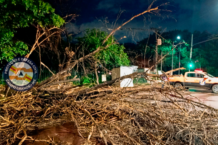 Defesa Civil atende 40 ocorrências e libera vias após temporal