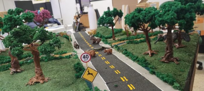 Detran apresenta proposta de mitigação de sinistros com animais silvestres em Feira de Bonito