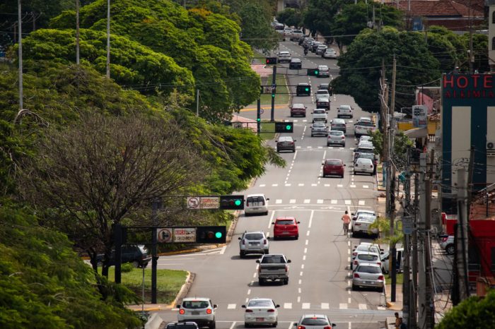 Dia da Árvore reforça importância da arborização na Capital