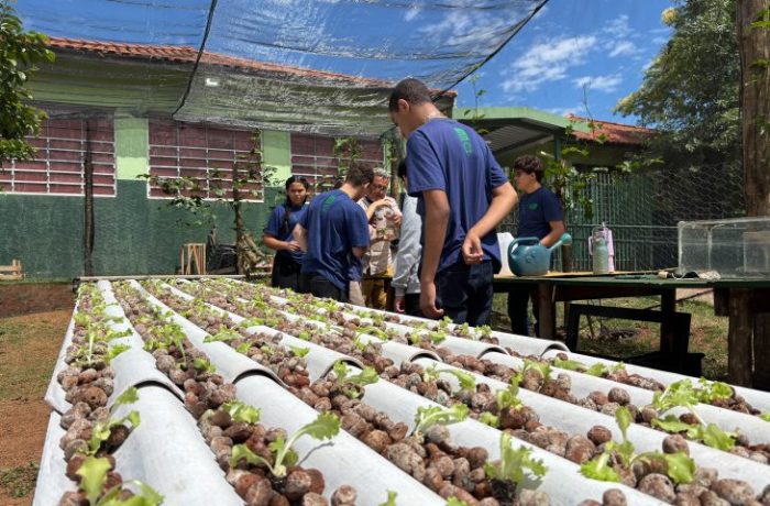 Do ar para a terra escola estadual de MS transforma água de ar-condicionado em alfaces sustentáveis