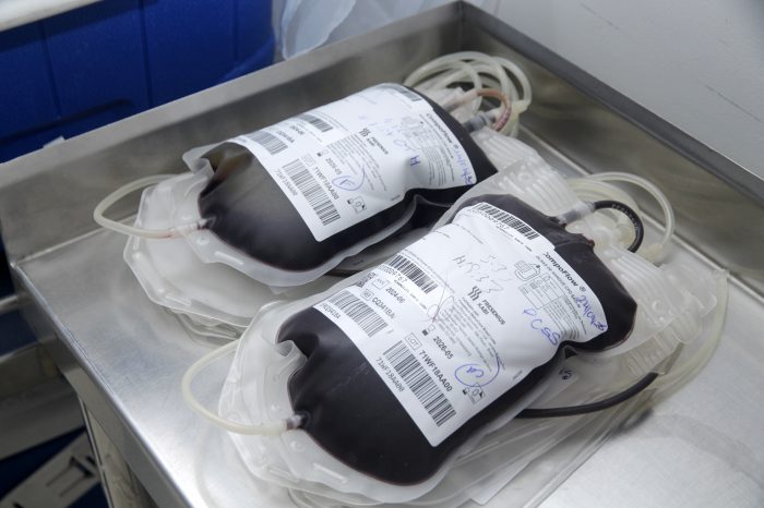 Esperança em forma de bolsas de sangue servidores se unem à corrente de solidariedade por Cecília