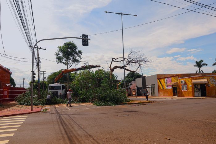 Força-tarefa da Prefeitura continua após temporal em Campo Grande