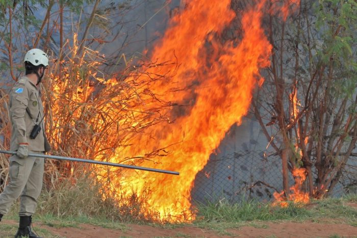 Fumaça que sufoca