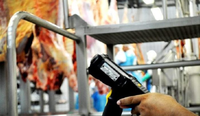 Governo aprimora Programa Precoce