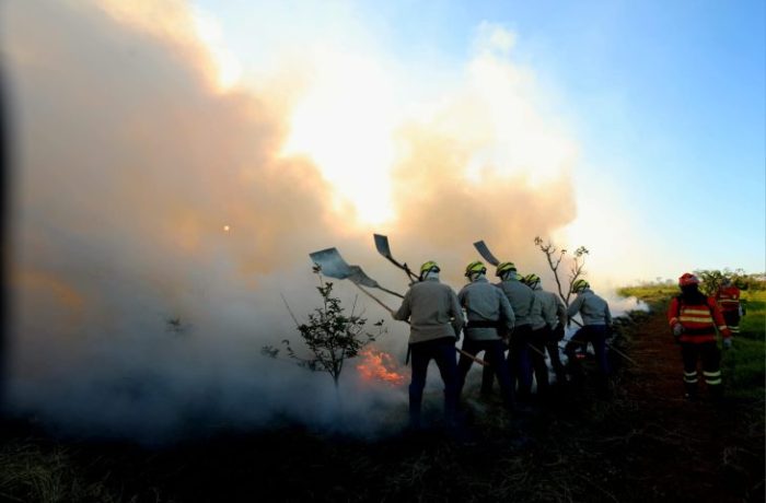 Governo de MS vai antecipar cronograma e lançar PSA Brigadas já em abril