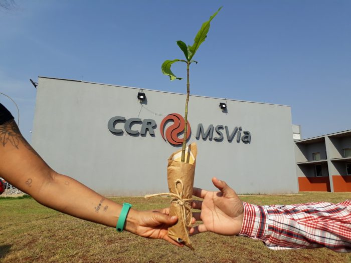 Grupo CCR garante presença pelo 14º ano consecutivo no Índice Carbono Eficiente da B3