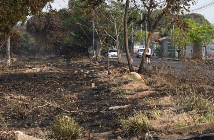Incêndios em vegetação de áreas urbanas prejudicam meio ambiente e a saúde da população