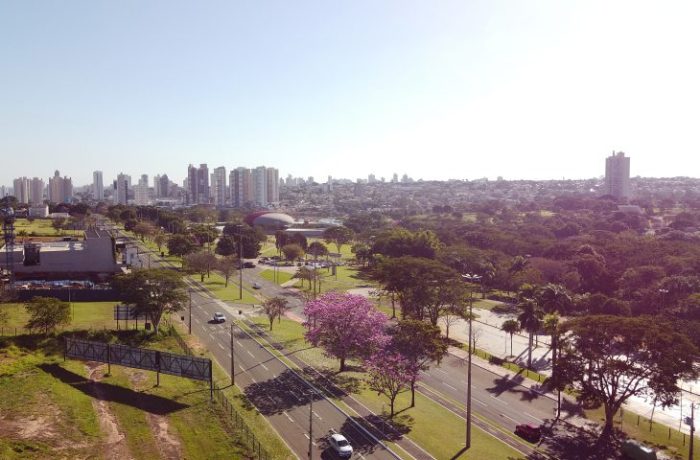 Ipes-Foto-Bruno-Rezende