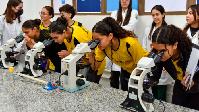 Jovens aprendizes do TCE-MS visitam feira de profissões