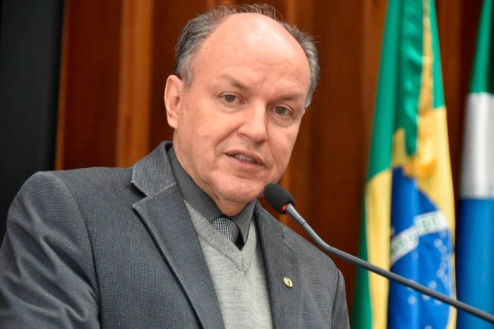 Le Tuiuiú é declarada ave símbolo do Pantanal Sul-Mato-Grossense
