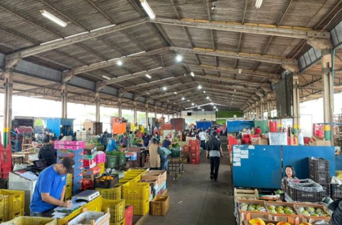 MS Nutri Ceasa reforça articulação com a Semadesc em projeto que reduz desperdício de alimentos