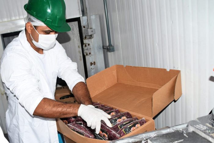 Maior produtor de avestruz fora da África tem frigorífico em Campo Grande e vende para todo país