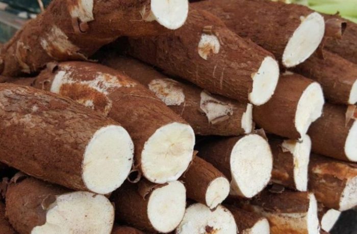 Mandioca é o produto mais comercializado na Ceasa de MS entre os cultivados no Estado