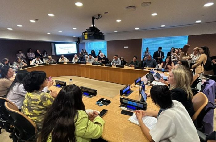 Mato Grosso do Sul leva programa Protege à ONU e debate proteção de mulheres em fórum internacional