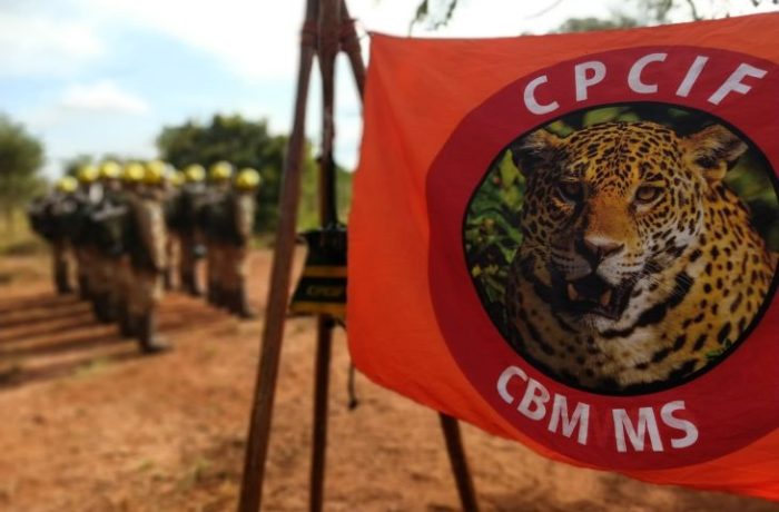 Meio Ambiente Corpo de Bombeiros inicia curso de combate a incêndios florestais nesta terça