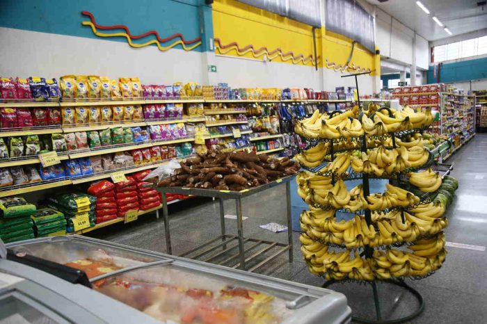 Mercado-Marcos-Erminio-4_Easy-Resize.com_