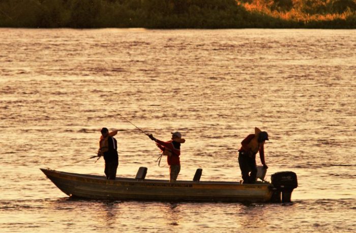 Modalidade ‘pesque e solte’ está liberada na calha do rio Paraguai a partir de sábado