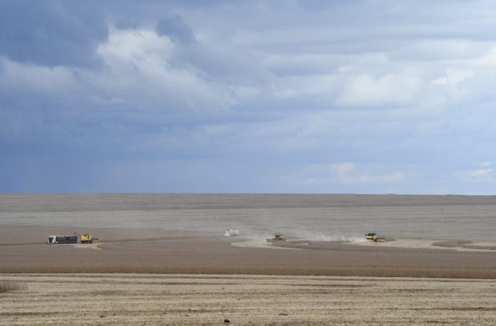 Motor de MS agronegócio deve puxar PIB do Estado, com previsão de crescer 5,5% neste ano