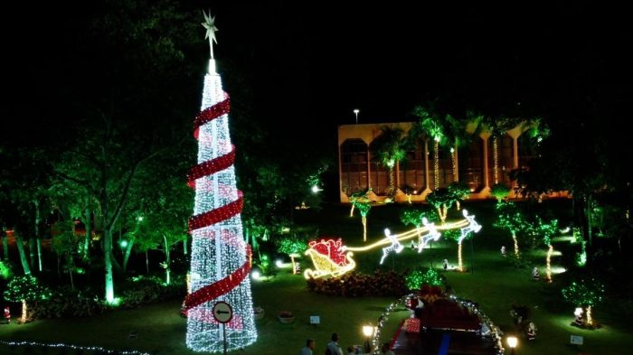 Natal Eco Solidário