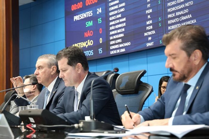 Ordem do Dia Aprovado projeto que estimula empreendedorismo de mães atípicas