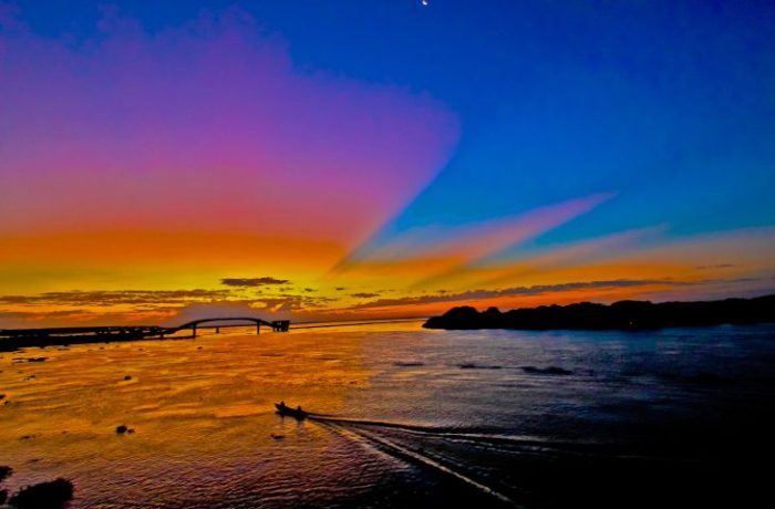 Pantanal-Foto-Saul-Schramm