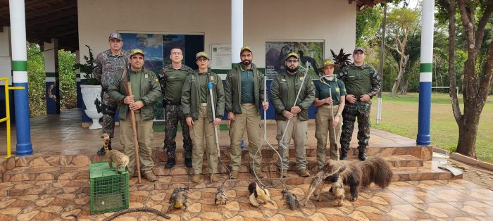 Parceria Detran-MS e PMA qualifica agentes de fiscalização a cuidar de animais nativos do Pantanal