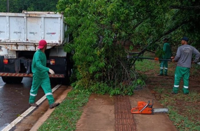 Parque dos Poderes recebe manutenção e melhorias para segurança e lazer dos campo-grandenses