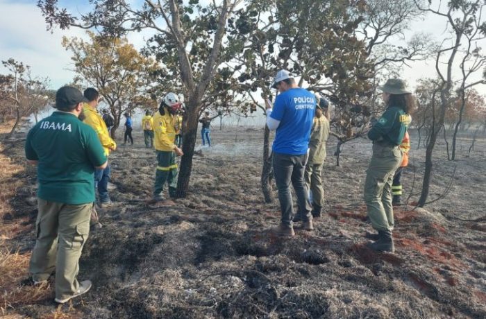 Peritos, bombeiros e PMA de MS passam por curso para identificar incêndios florestais criminosos