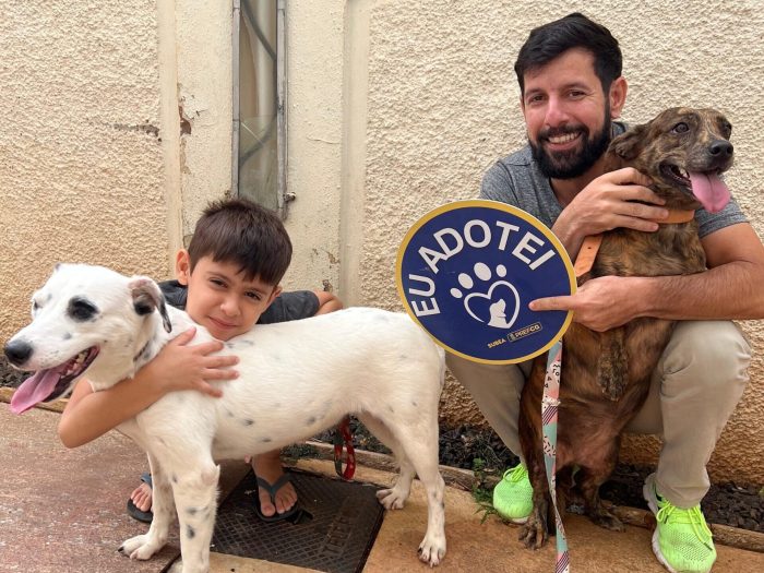 PrefCG promove feira de adoção com cães resgatados de maus-tratos
