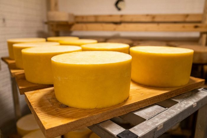 PrefCG sanciona lei de suplementação alimentar com leite e derivados