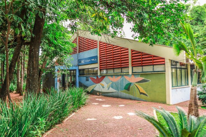 Prefeitura abre inscrições para oficina gratuita de Kokedama no Horto Florestal