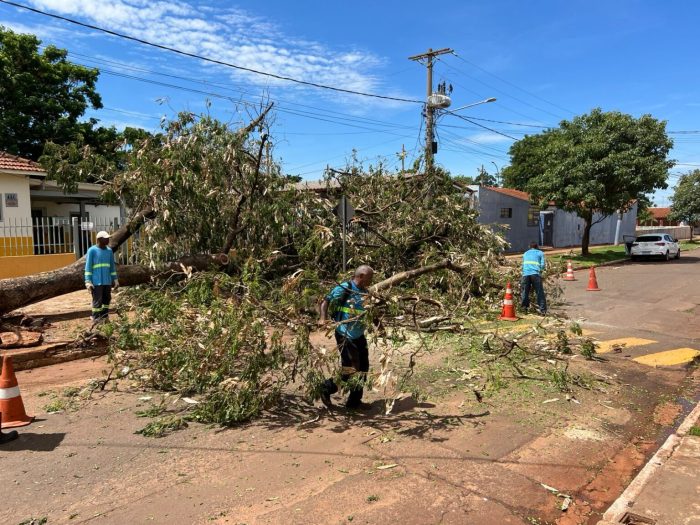 Prefeitura atua para atender população e mitigar danos causados pelas chuvas em Campo Grande