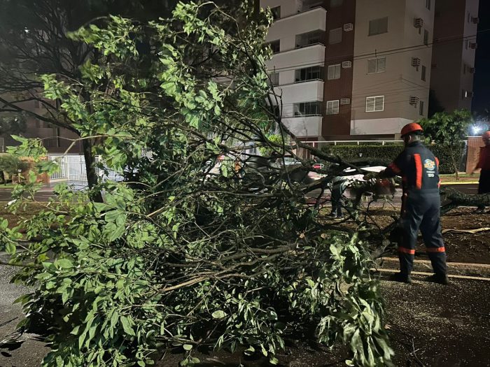Prefeitura de Campo Grande age rapidamente após temporal causar estragos na cidade