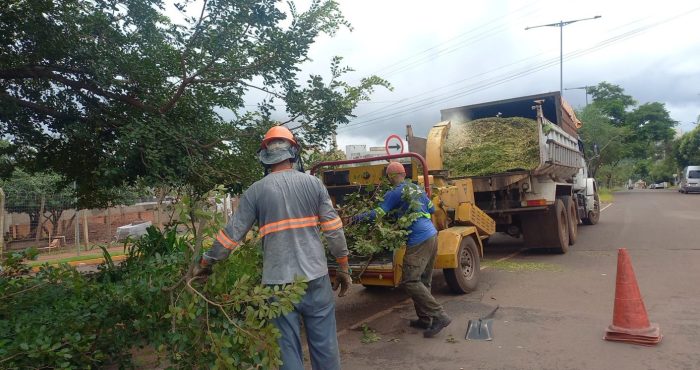 Prefeitura qualifica equipes em diagnóstico e prevenção de queda de árvores