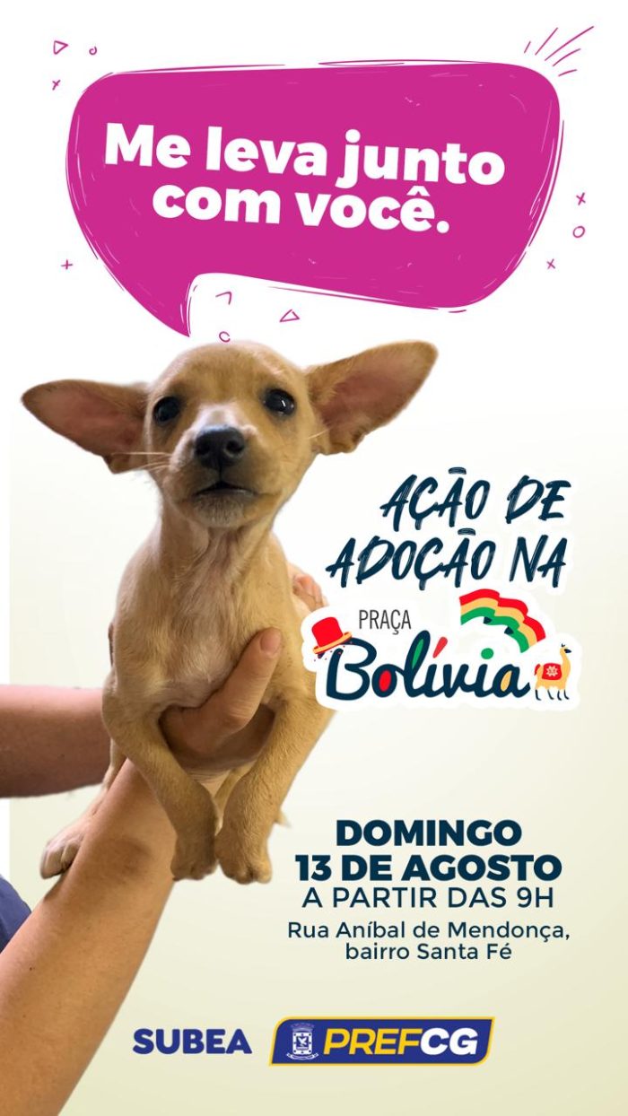 Prefeitura realiza ação de adoção de cães e gatos na Praça Bolívia neste domingo